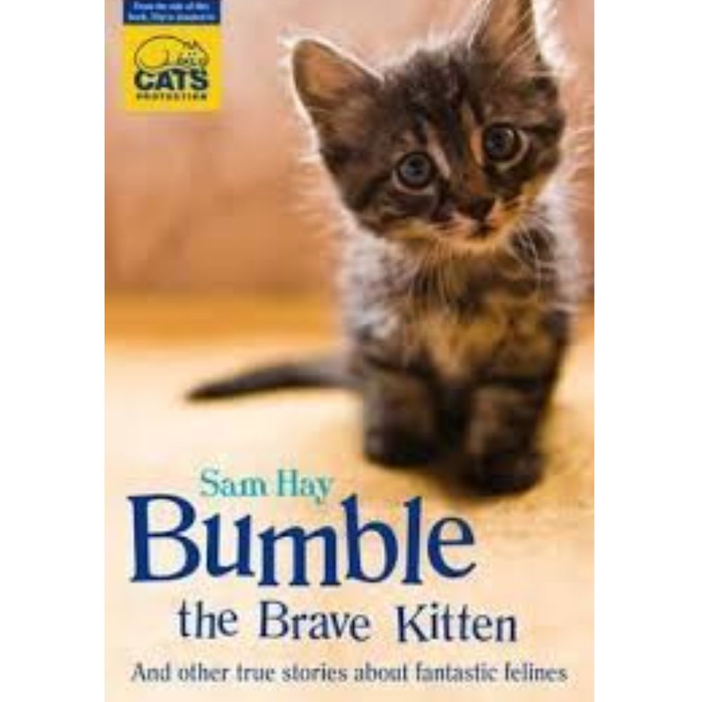 Bumble the brave kitten
